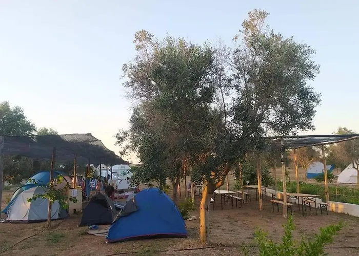Agricampeggio Torre Lapillo